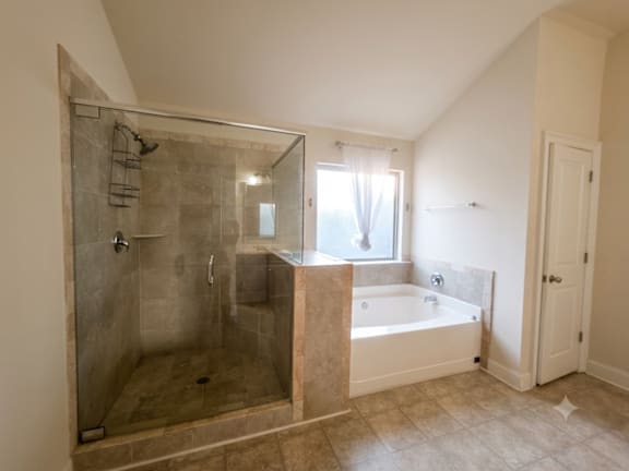 A bathroom with a walk-in shower and a bathtub.