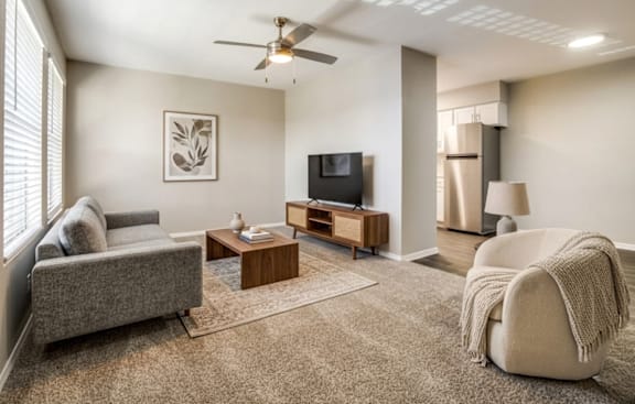 A living room with a grey couch, a coffee table, a television, and a ceiling fan.