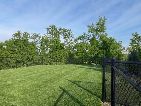 A black fence surrounds a green lawn with trees in the background.
