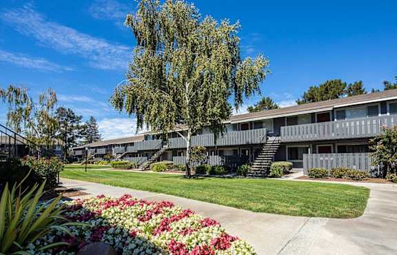 A building with a tree in front of it at Cherrywood Apartments, San Jose, California