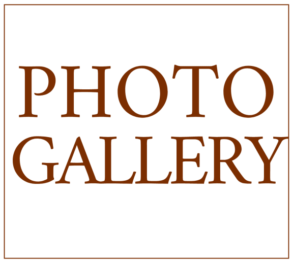 the word photo gallery in orange on a black background