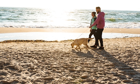 A man and a woman are walking their dog on the beach.