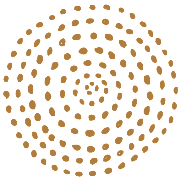 A pattern of brown dots arranged in a spiral on a black background.