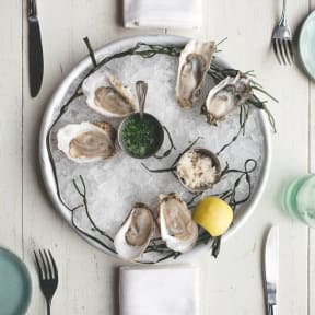 a plate of oysters on ice on a white table
