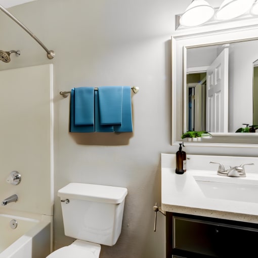 a bathroom with a toilet sink and mirror and a tub