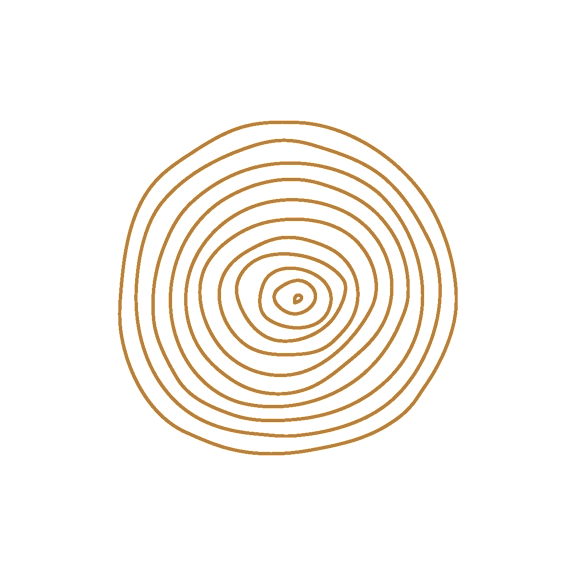 A series of concentric circles in gold on a black background.