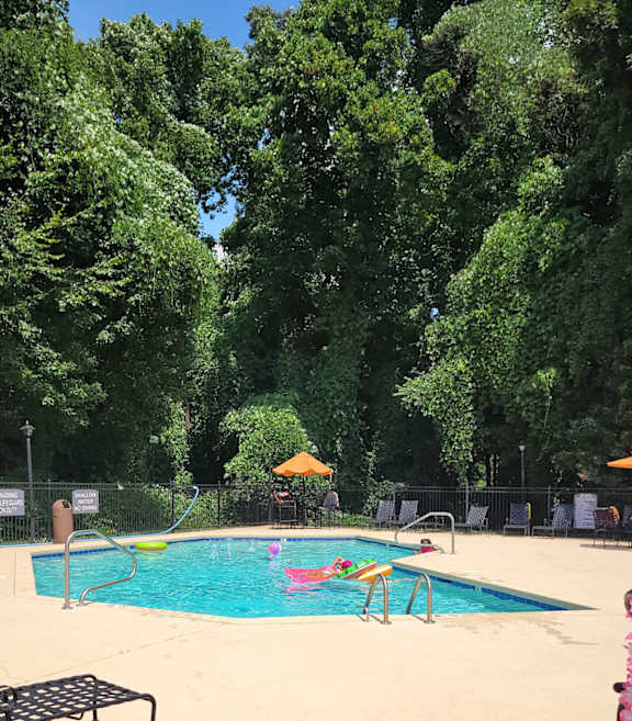A pool surrounded by trees and umbrellas.