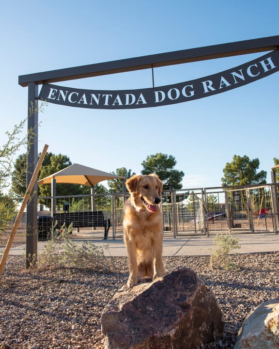 the entrance to the enunciated dog ranch in the city of encinitas
