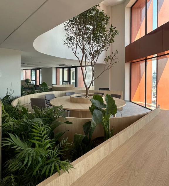 arium with a tree and plants in the middle of a building