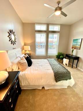 A bedroom with two tall windows, plush carpet flooring, and a ceiling fan.