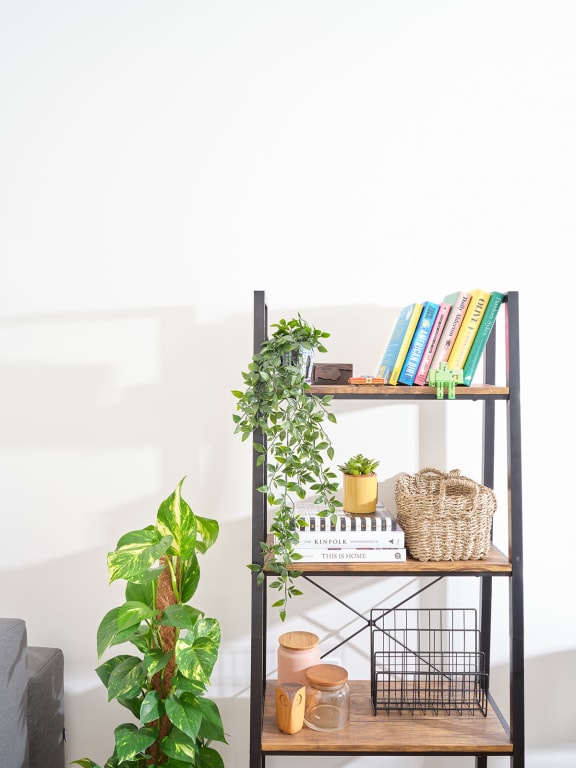 a bookshelf with books and plants on it