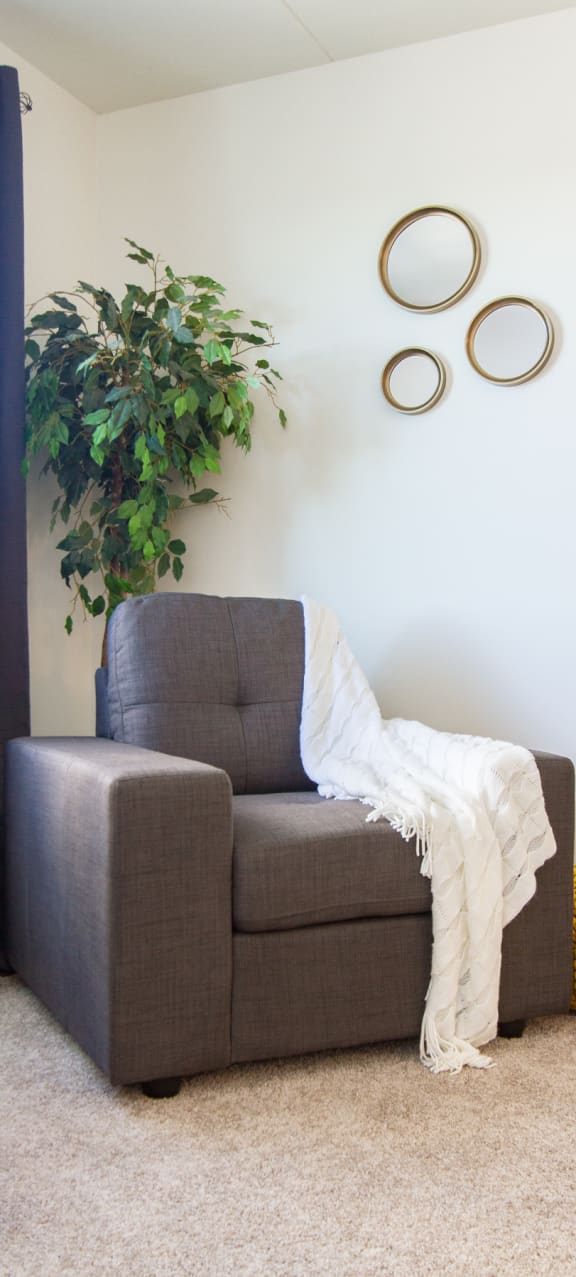 a chair with a blanket on it in a room with a plant and two circles on the