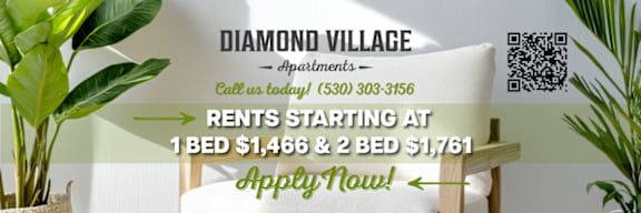 A sign advertising Diamond Village Apartments with a phone number and rental prices.