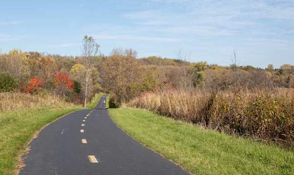 A road with a yellow line in the middle stretches into the distance surrounded by grass and trees.