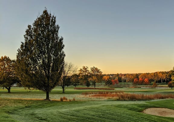 A golf course with a tree in the foreground and a clear sky.