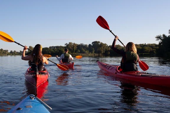 Three people kayaking on a calm body of water.