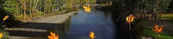 Falling Whimsey | Elwha River, Port Angeles | Element: Wind/Air