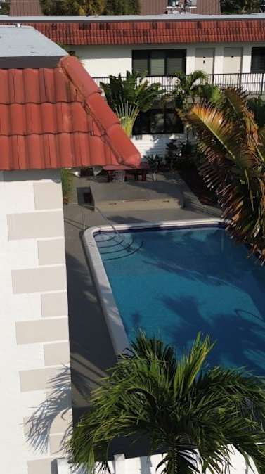 A pool surrounded by green plants and a white building in the background.