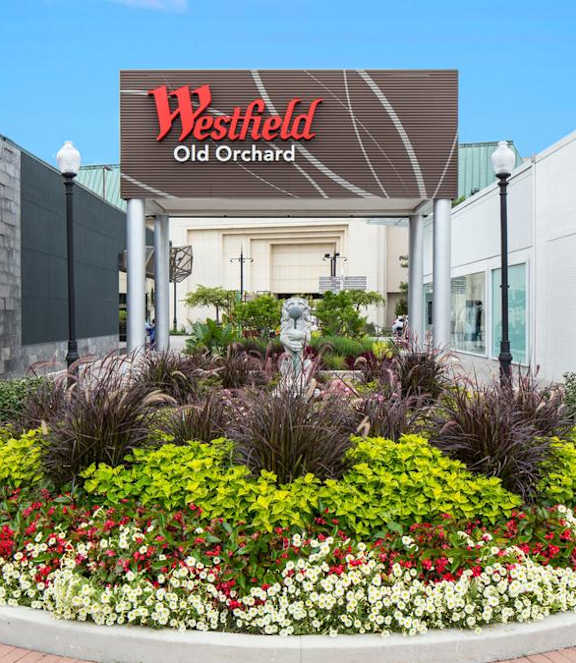 A flower bed in front of the Westfield Old Orchard store.