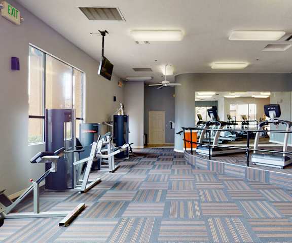 The gym at Arezzo Apartments with cardio machines and weights. 