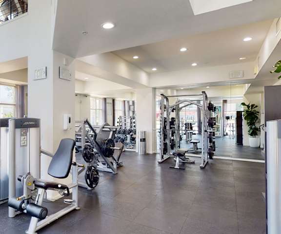 The gym at Artisan at Main Street Metro with cardio machines and weight machines. 
