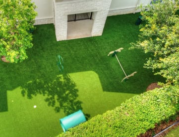 a backyard with artificial grass and a trampoline