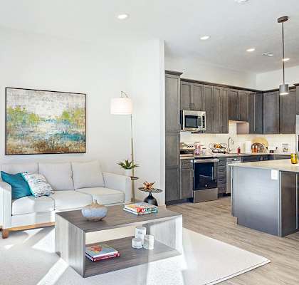 Living room and kitchen with tall ceilings