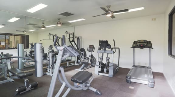 Springhill fitness center with weight stations and fitness equipment