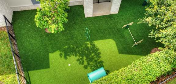 Backyard with Grass at Alaqua, Jacksonville, Florida, 32258