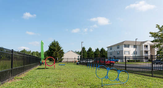 A playground with a green slide and a red circle in the middle of the grass.