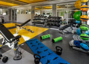 Thumbnail 6 of 27 - Gym with weight bench and free weights