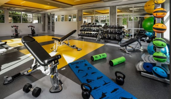 Fitness center with weight bench and free weights