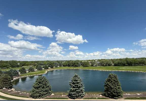 A pond surrounded by trees under a blue sky with clouds.
