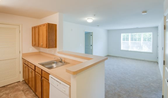 Kitchen into living room