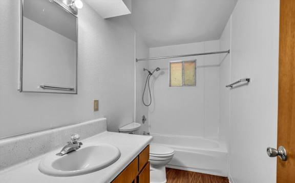 a bathroom with a sink and a toilet and a shower