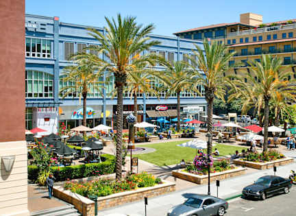 A city square with palm trees and a building in the background.