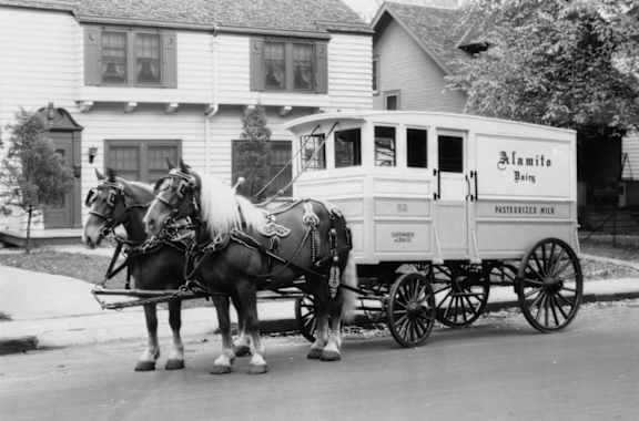 Two horses pulling a carriage with the sign Almifo on it.