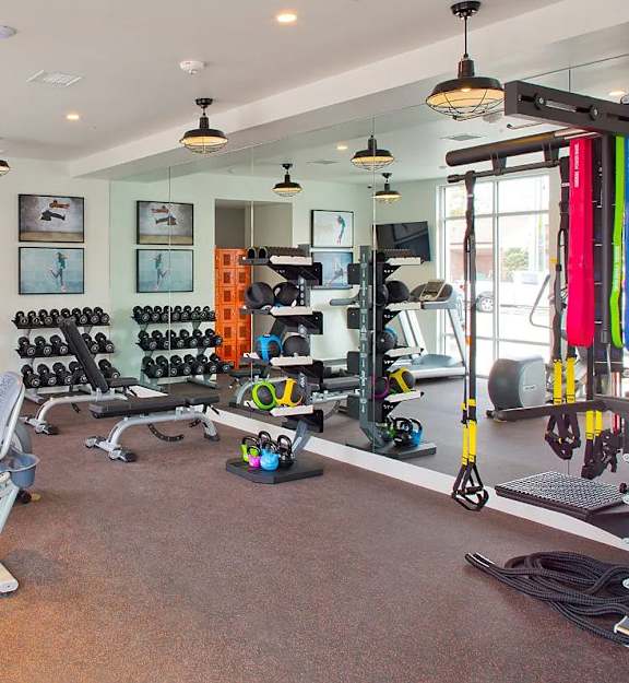 A well-equipped gym with various exercise machines and weights.
