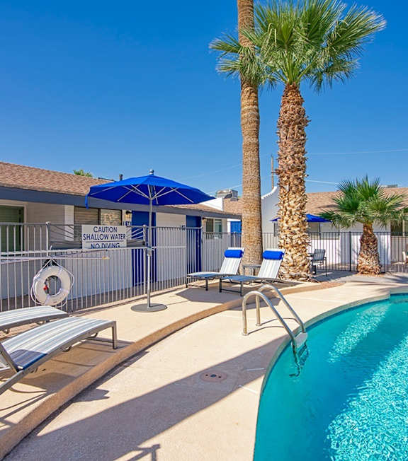 A pool area with a palm tree and sun loungers.