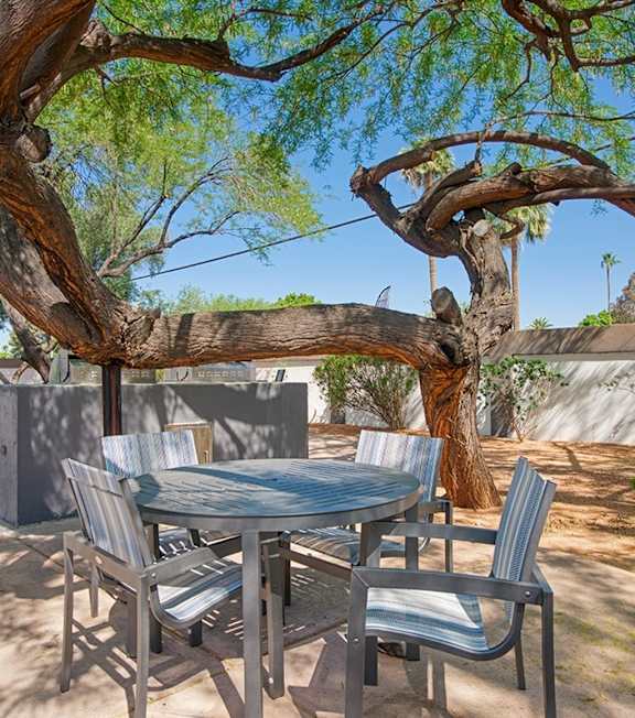 A table with chairs is set up under a tree.