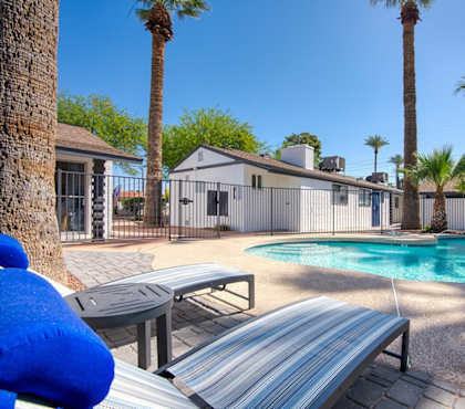 A pool surrounded by palm trees and a metal fence.