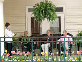 A group of people are sitting on a porch with a green plant hanging from the ceiling.