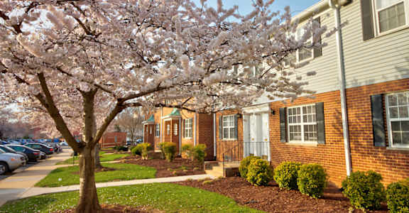 Kingsley Commons Townhouses Property
