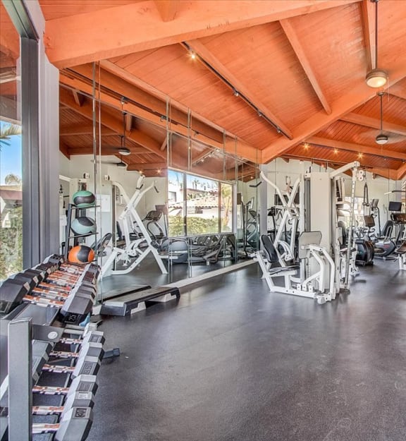 a gym with a wooden ceiling and weights on the floor