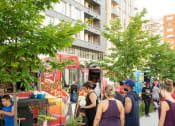 Thumbnail 9 of 9 - a group of people standing in front of food trucks