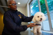 Thumbnail 5 of 9 - a police officer holding a white dog on a table