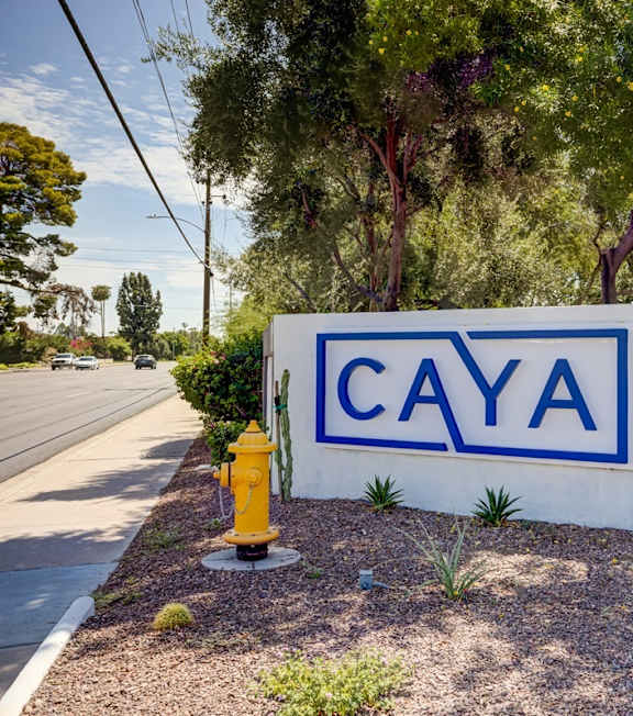 A white and blue sign that says Caya in front of a yellow fire hydrant.