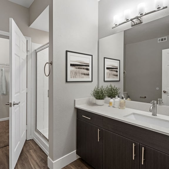 a bathroom with a shower and a sink and a mirror