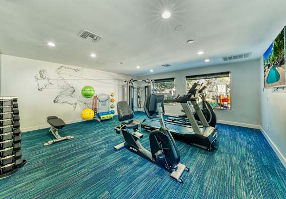 A gym with a variety of equipment including a treadmill, exercise ball, and weight rack. at Connect on Northern Apartments, Glendale 85301