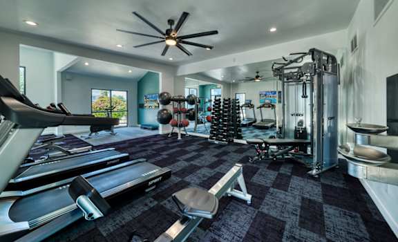 a home gym with weights and cardio equipment